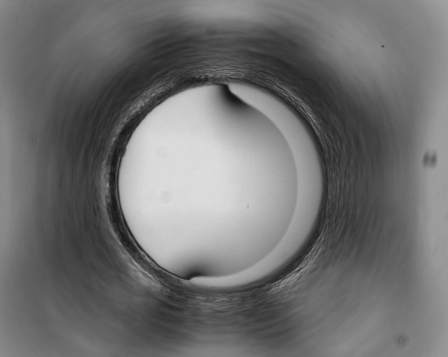 X0000099400725200806051207
