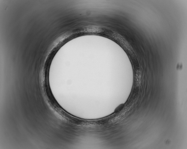 X0000099400726200806051207
