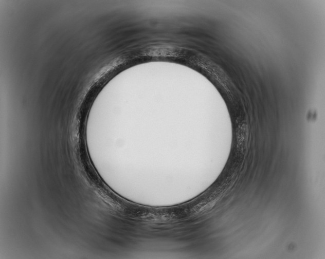 X0000099400727200806051207