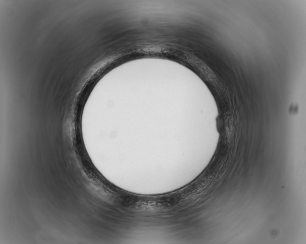 X0000099400728200806051207