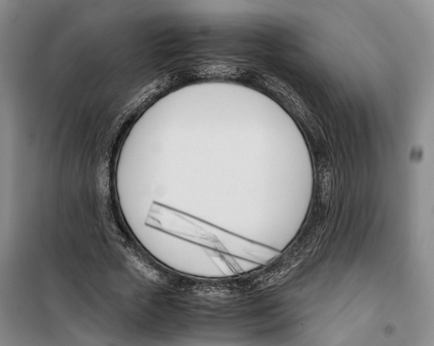 X0000099400729200806051207