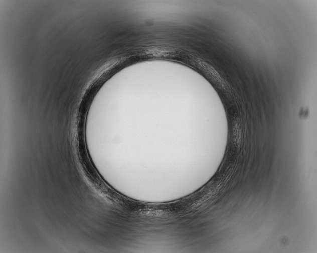 X0000099400730200806051207