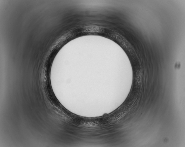 X0000099400731200806051207