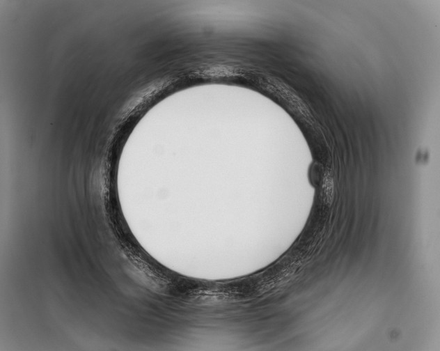 X0000099400732200806051207