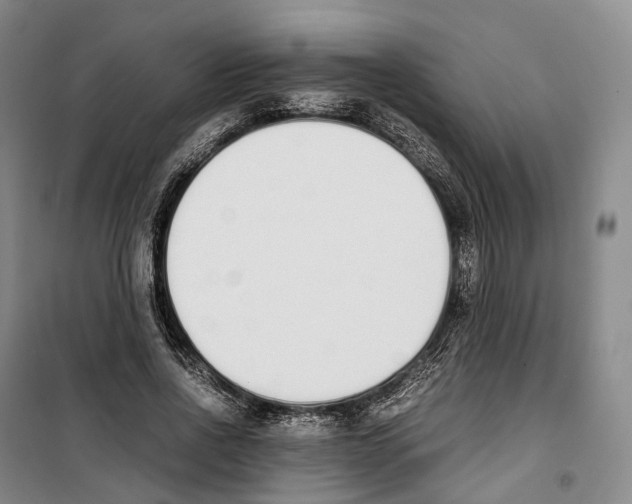 X0000099400734200806051207