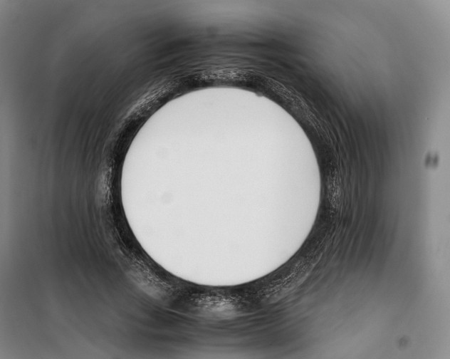 X0000099400735200806051207