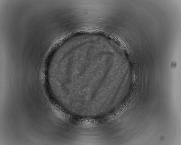 X0000099400736200806051207