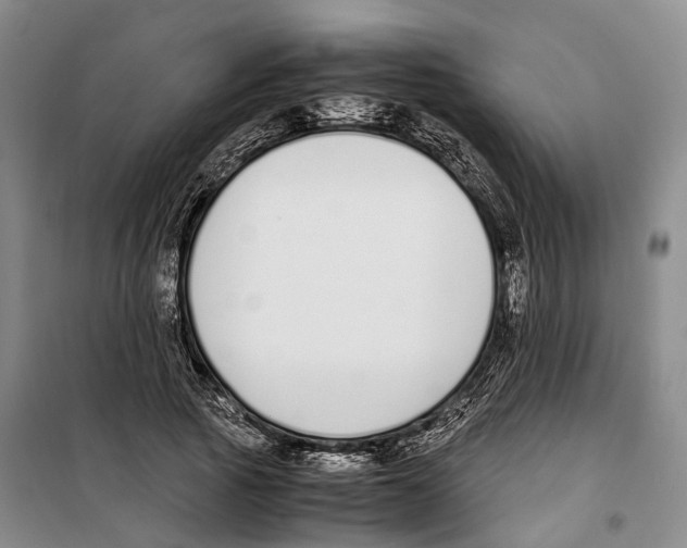 X0000099400737200806051207