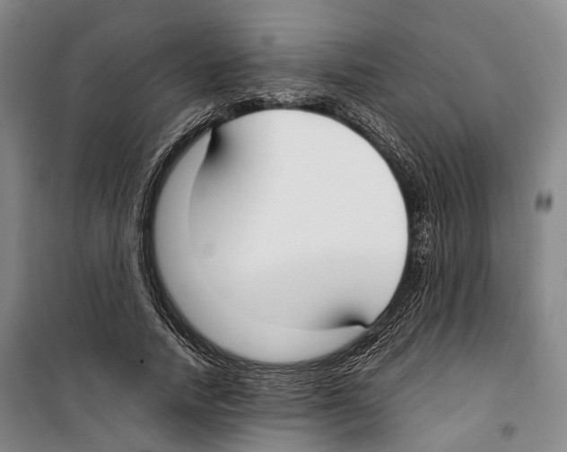 X0000099400738200806051207
