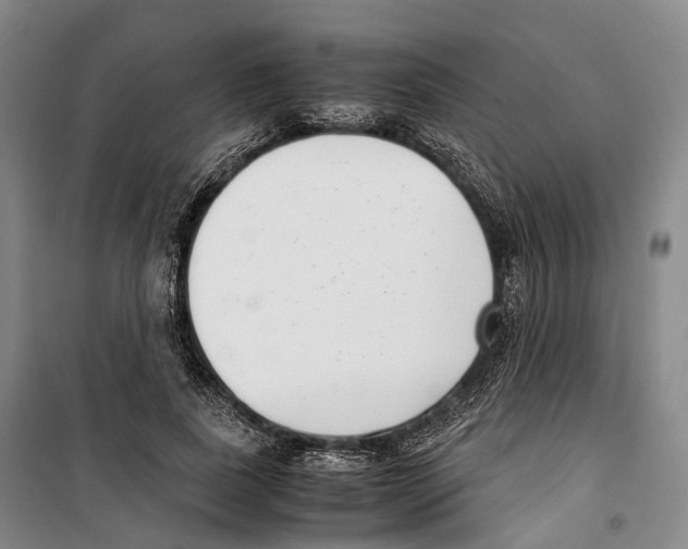 X0000099400739200806051207