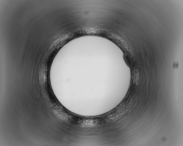 X0000099400740200806051207
