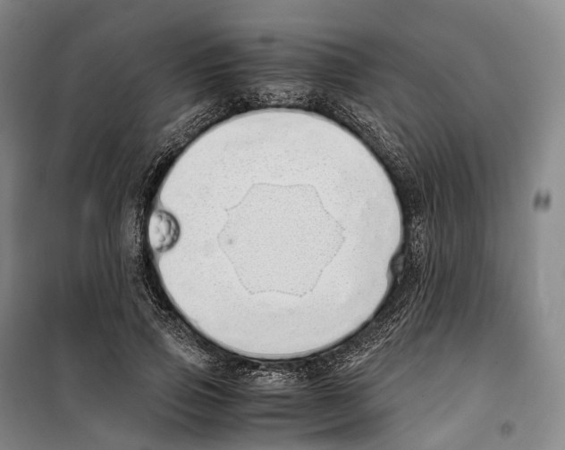 X0000099400741200806051207