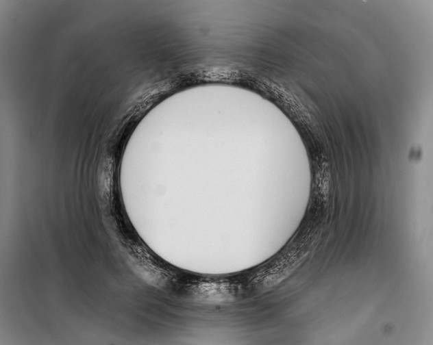 X0000099400744200806051207