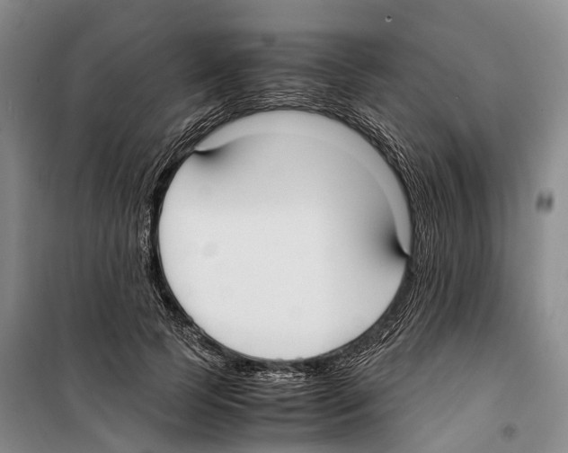 X0000099400745200806051207