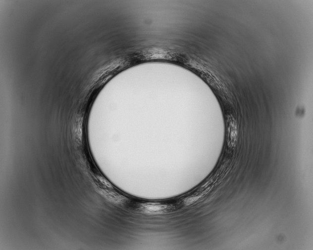 X0000099400746200806051207