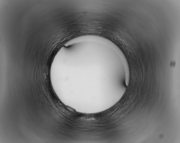 X0000099400747200806051207