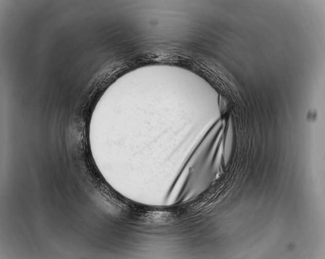 X0000099400748200806051207