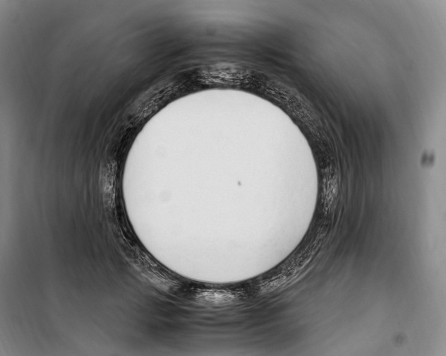 X0000099400749200806051207