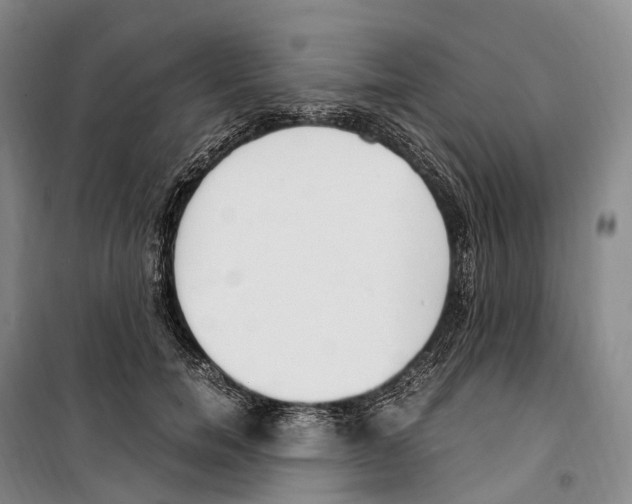 X0000099400750200806051207