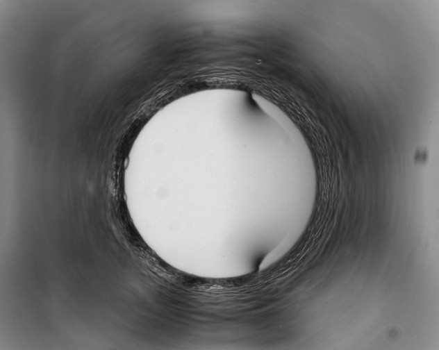 X0000099400755200806051207