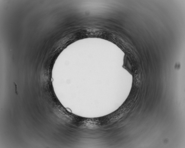 X0000099400756200806051207