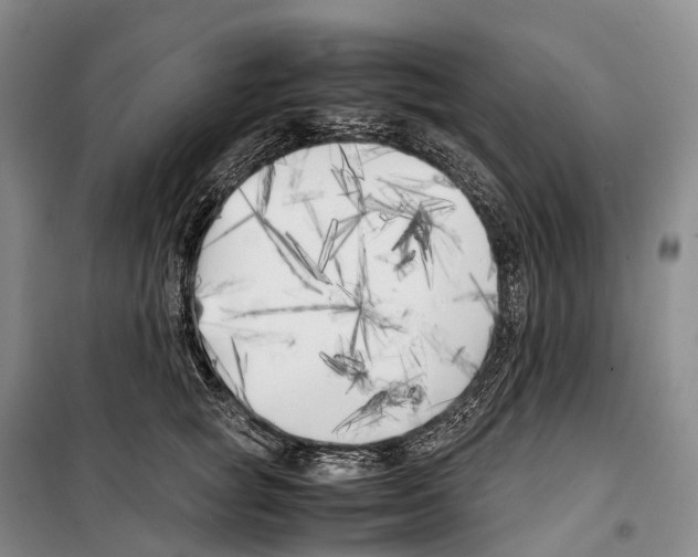X0000099400757200806051207
