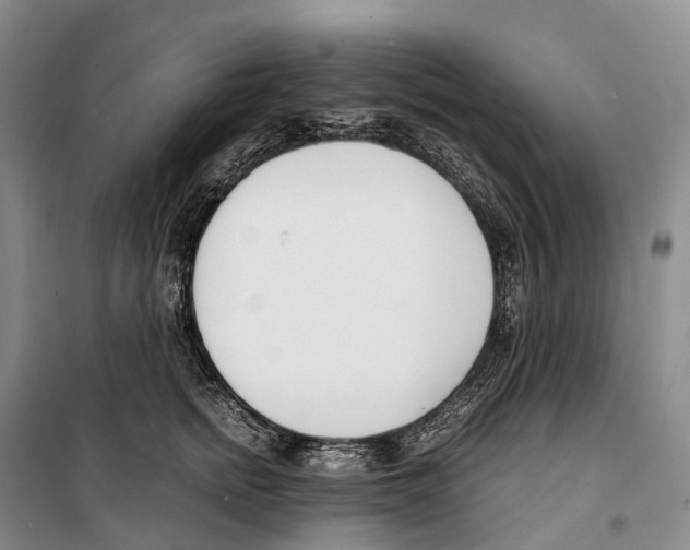 X0000099400758200806051207
