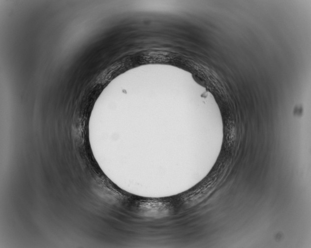 X0000099400759200806051207