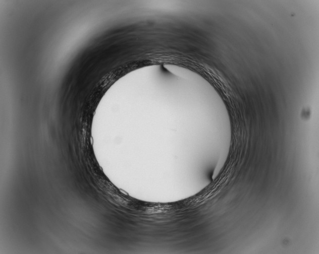 X0000099400761200806051207