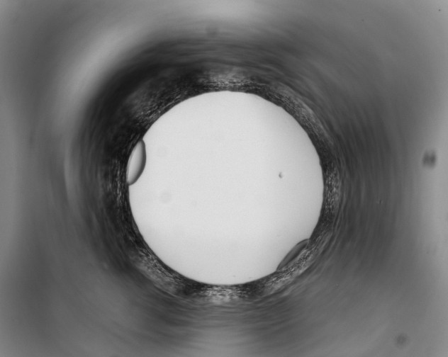 X0000099400762200806051207