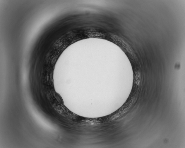 X0000099400763200806051207