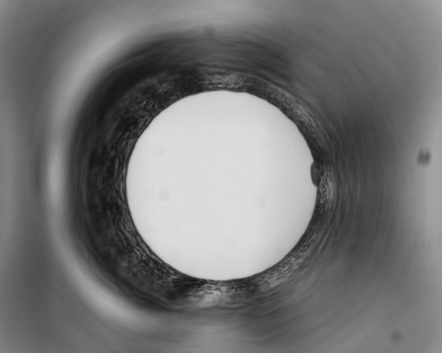 X0000099400764200806051207