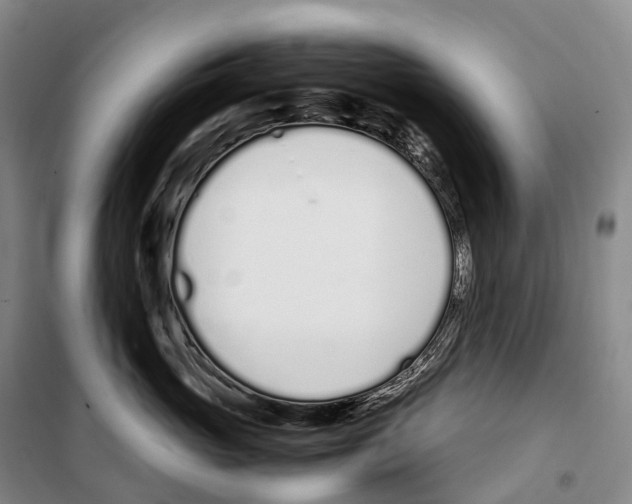 X0000099400765200806051207