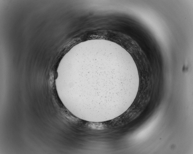X0000099400767200806051207