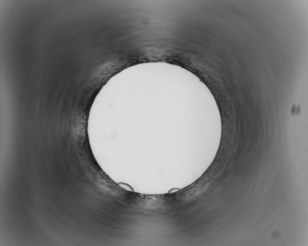 X0000099400768200806051207