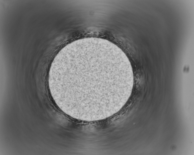X0000099400769200806051207