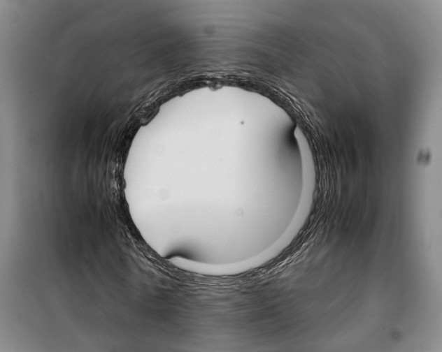 X0000099400770200806051207