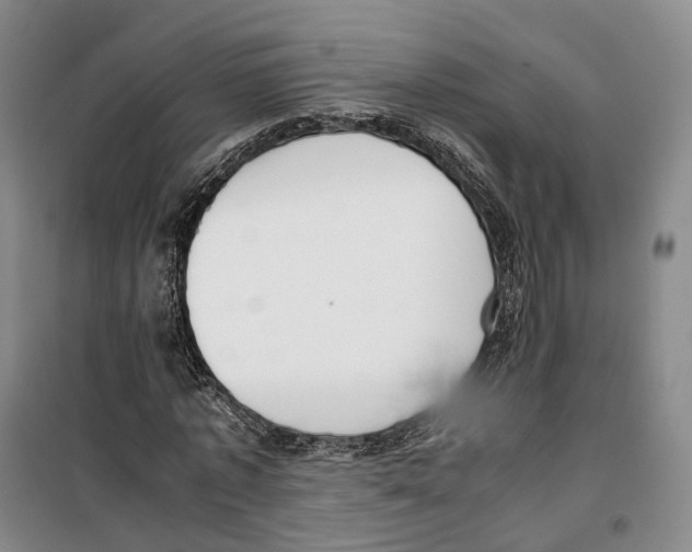 X0000099400773200806051207