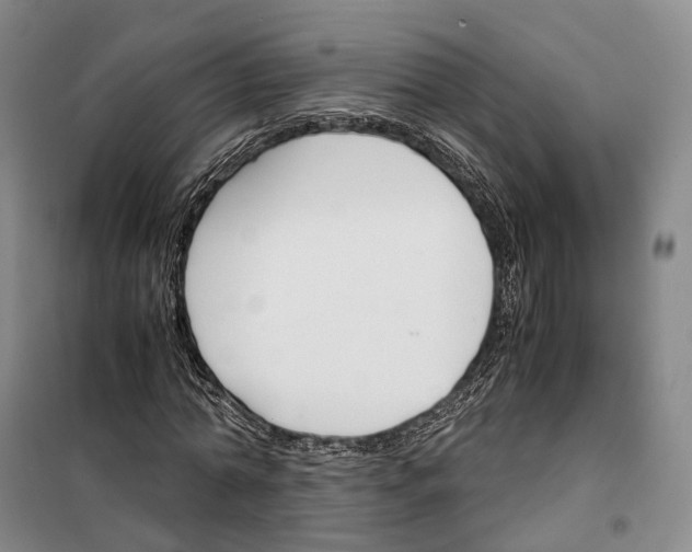 X0000099400774200806051207