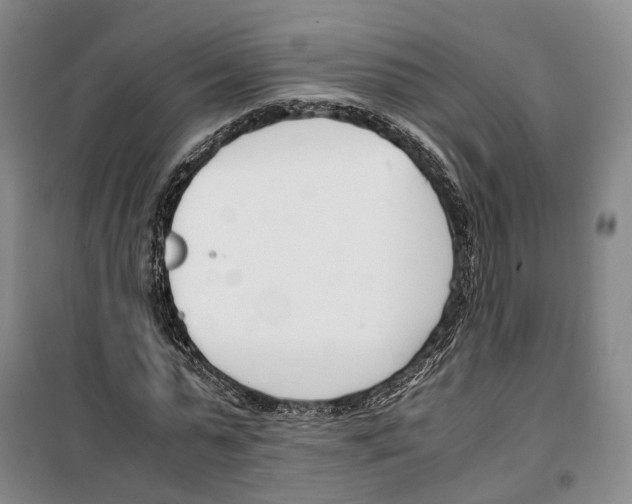 X0000099400775200806051207