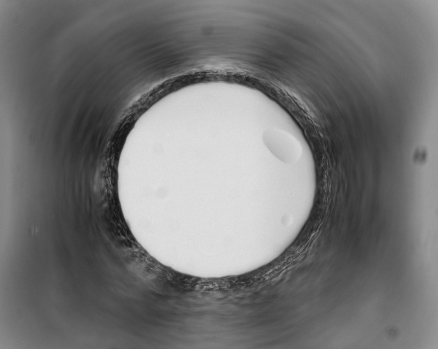 X0000099400776200806051206