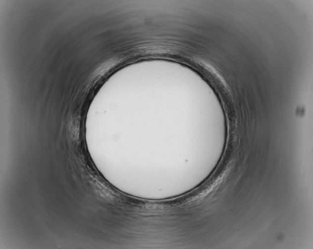 X0000099400777200806051206