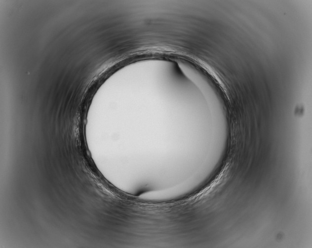 X0000099400778200806051206