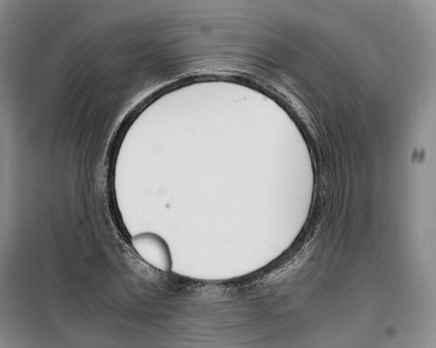 X0000099400779200806051206