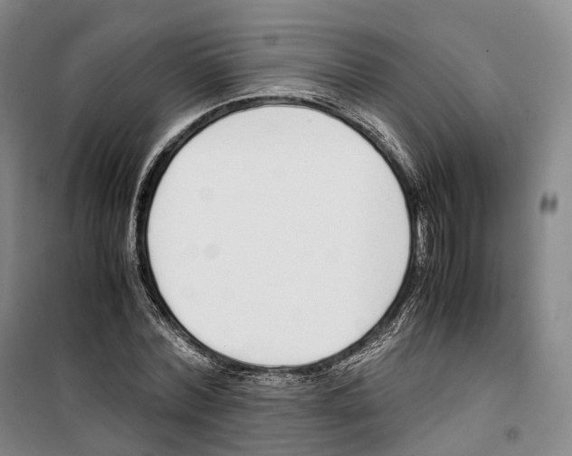 X0000099400780200806051206