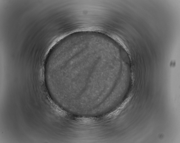 X0000099400781200806051206