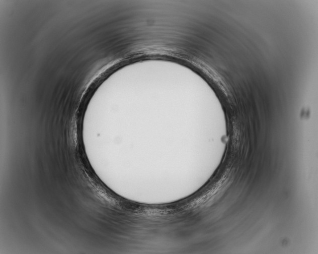 X0000099400782200806051206