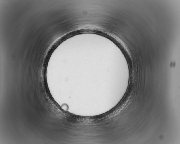 X0000099400783200806051206