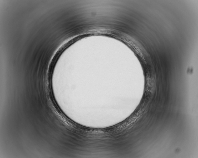 X0000099400784200806051206