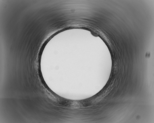 X0000099400787200806051206